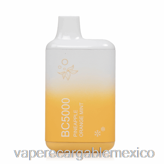 Vape Recargable Bc5000 Desechable Piña Naranja Menta